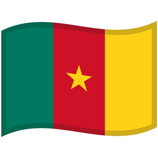 Cameroon Flag